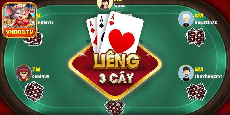 Các loại bài cào tố phổ biến